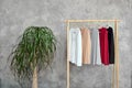 A rack with stylish colored clothes in a modern dressing room, next to a houseplant. Royalty Free Stock Photo