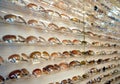Rack of sunglasses Royalty Free Stock Photo