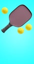 Racket and sports balls for pickle ball. 3d rendering Royalty Free Stock Photo