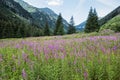 Rackova valley, Western Tatras mountains, Slovakia