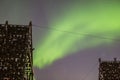 Racks with drying stockfish heads with aurora borealis, northern lights