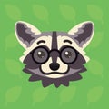 Racoon emotional head. Vector illustration of cute coon in glasses shows nerd emotion. Smart emoji. Smiley. Print, chat