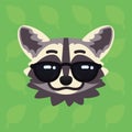 Racoon emotional head. Vector illustration of cute coon in sunglasses shows cool emotion. Awesome emoji. Smiley icon