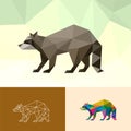 RACOON LOW POLY POLYGONAL