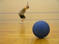 Racquetball Still Life Royalty Free Stock Photo