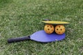 Racquets and pickleball balls on turf Royalty Free Stock Photo