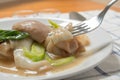 Rad Na, Famous Thai Chinese style wide rice noodle dish with tasty tender pork with thick gravy sauce. close up with fork.