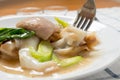 Rad Na, Famous Thai Chinese style wide rice noodle dish with tasty tender pork with thick gravy sauce. close up with fork. Royalty Free Stock Photo