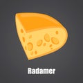 Radamer cheese slice color flat icon Royalty Free Stock Photo