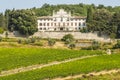 Radda in Chianti - Ancient palace and vineyards Royalty Free Stock Photo