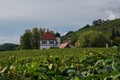 The HoflÃ¶Ãnitz winery in Radebeul