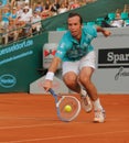 Radek Stepanek, Tennis 2012 Royalty Free Stock Photo