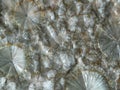 Radial aggregates of pearly wavellite crystal