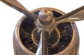 Radial aircraft engine with propeller