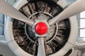 Radial engine of an aircraft. Royalty Free Stock Photo