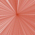 Radial optical illusion. Abstract circular pattern. Red and white effect. Vector hypnotic background.