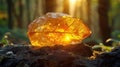 A radiant Amber stone, sunlight passing through to reveal a delicate prehistoric leaf trapped for millennia, the warm Royalty Free Stock Photo