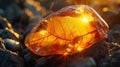 A radiant Amber stone, sunlight passing through to reveal a delicate prehistoric leaf trapped for millennia, the warm
