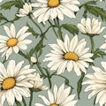 Radiant Daisy Bloom Floral Pattern Magic Royalty Free Stock Photo