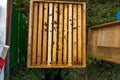 Beehive Harmony: Dadant Blatt Hive in Autumn Sunlight