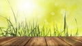 Radiant Green Spring Background With Wooden Table In Foreground Royalty Free Stock Photo