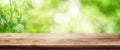 Radiant green spring background with wooden table Royalty Free Stock Photo