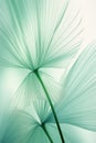 Radiant Monstera Bliss: A Closeup Floral Scene in Lossless Andro