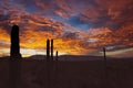 Radiant Orange and Red Sunset with Saguaro Cacti in Foreground.