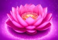 Radiant Pink Lotus Flower on a Sparkling Purple Background Royalty Free Stock Photo