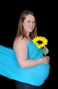 Radiant pregnant woman holding sunflower. isolated Royalty Free Stock Photo