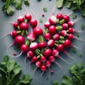 Radiant Radish Heart: A Symphony of Freshness