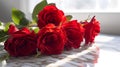 Radiant Red Roses on White Marble
