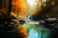 Radiant Reflections: A Breathtaking Morning in the Stream Forest