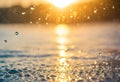 Radiant Reflections Shimmering Water Droplets at Sunset Royalty Free Stock Photo