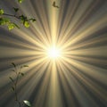 Radiant sunburst shining through leaves a stunning display of light and shadows in a serene natural setting Royalty Free Stock Photo