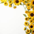 Radiant Sunflower Border White Harmony Royalty Free Stock Photo