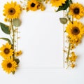 Radiant Sunflower Charm Simple White Area Royalty Free Stock Photo
