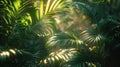 Radiant Sunlight Filtering Through Palm Tree Royalty Free Stock Photo