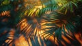 Radiant Sunlight Filtering Through Palm Tree Royalty Free Stock Photo