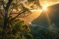 Golden Sunrise Over a Lush Jungle Valley with River Royalty Free Stock Photo