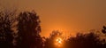 Dramatic sunset with sunburst, silhouetted trees, warm colors, golden light, natural background, atmospheric Royalty Free Stock Photo