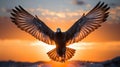 Radiant Sunset. Serene Pigeon Silhouette Gracefully Descending onto Gentle Outstretched Hands.