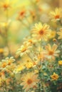 Radiant Sunshine: A Vibrant Display of Yellow Flowers in an Over