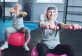 Radiant woman holding dumbbells while training at fitness club Royalty Free Stock Photo