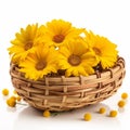 Radiant Yellow Daisy in a Basket