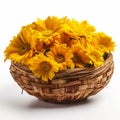 Radiant Yellow Daisy in a Basket