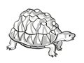 Radiated Tortoise Endangered Wildlife Cartoon Mono Line Drawing