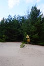 Radiation pollution sign near trees in the Chernobyl exclusion zone Royalty Free Stock Photo