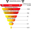Radiation scale diagram