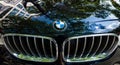 Radiator grille of compact luxury crossover SUV BMW X4